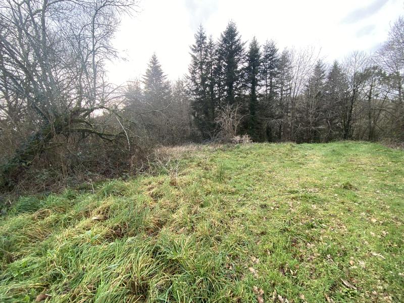 Terrain agricole - 1 155 m²