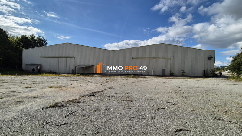 Entrepôt - 9 500 m²