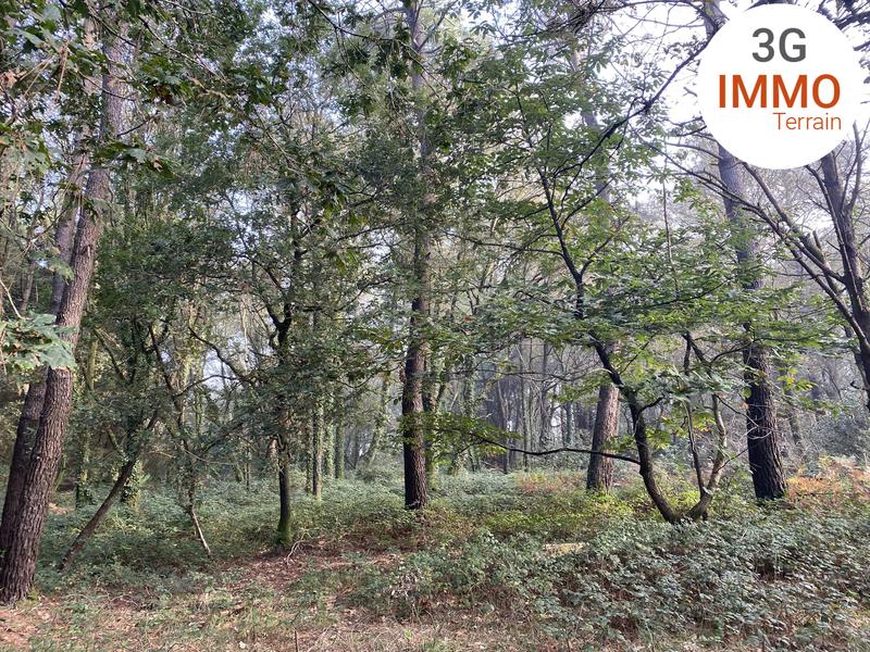 Terrain - 17 766 m²