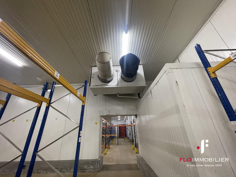 Local d'activités - 2 272 m²