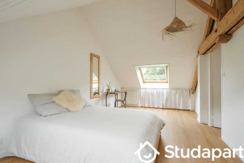 Chambre - 16 m² - 1 pièce