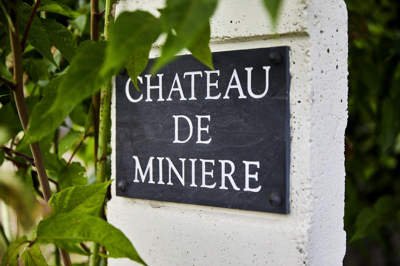 Pique nique au domaine