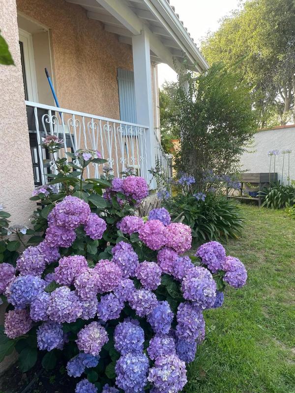 Maison - 125 m² - 4 pièces