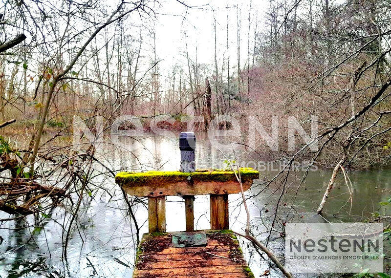 Terrain - 270 000 m²