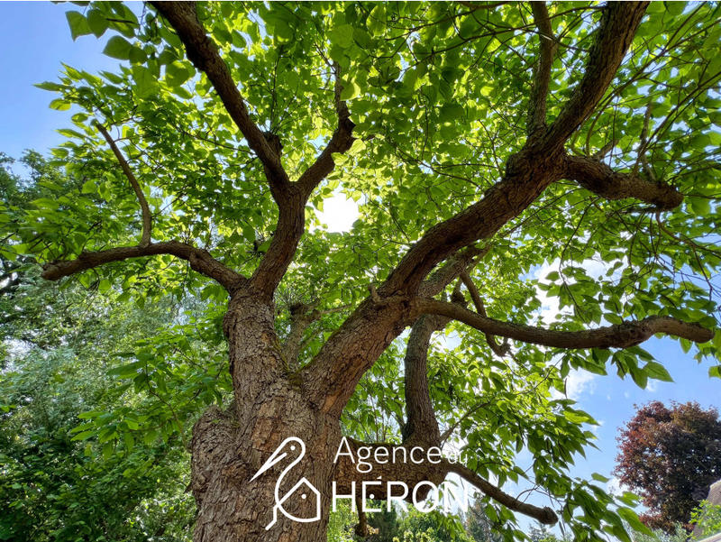 Maison - 304 m² - 10 pièces