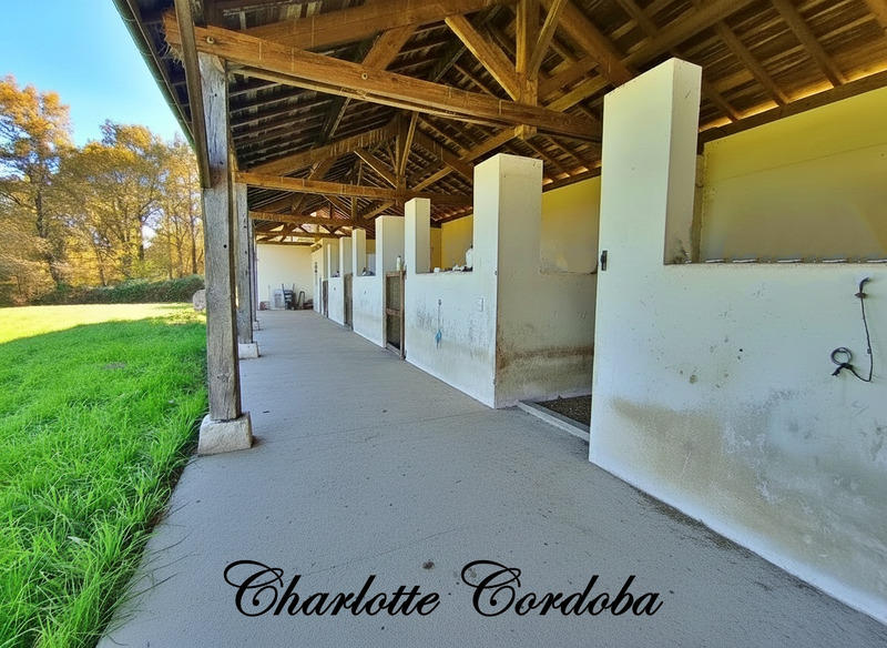 Maison - 146 m² - 5 pièces