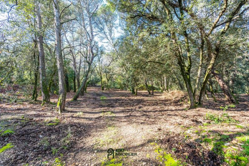 Terrain constructible - 3 367 m²