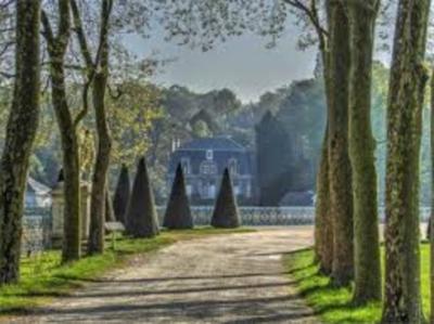 Appartement - 36 m² - 1 pièce