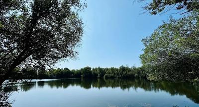 Manoir - 700 m² - 20 pièces