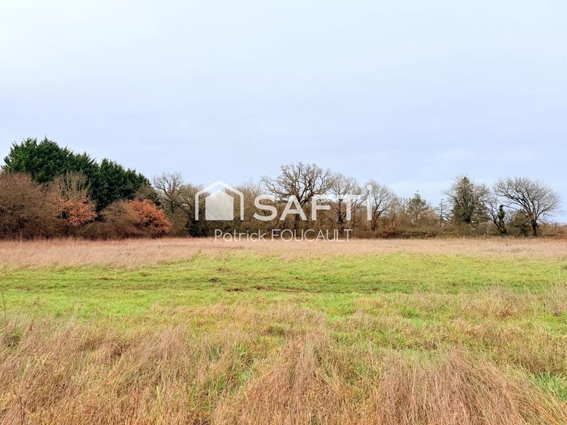 Terrain - 11 077 m²