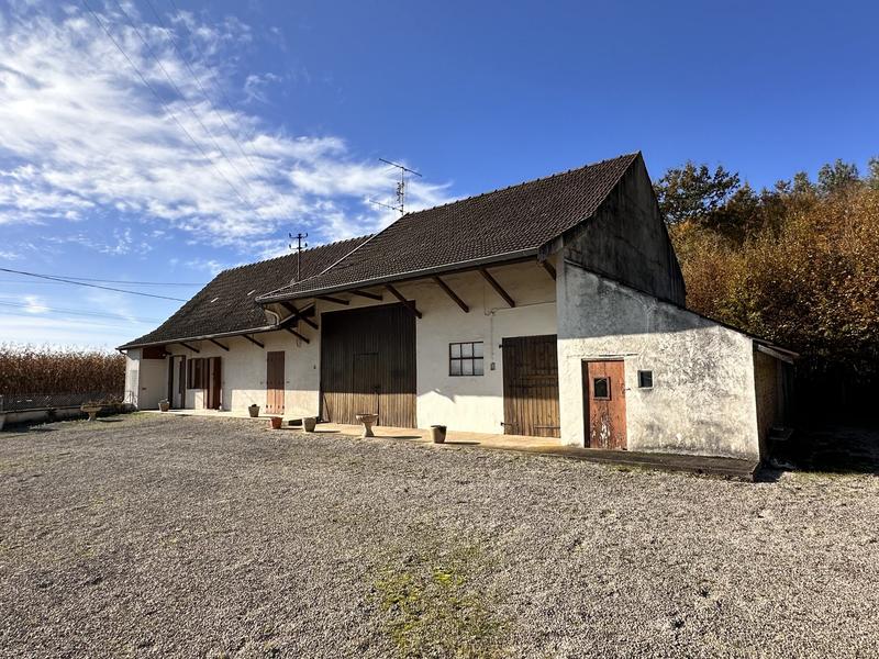 Viager - Maison ancienne - 98 m² - 5 pièces