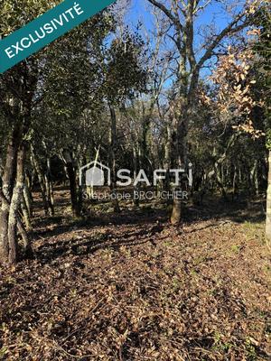 Terrain - 1 285 m²