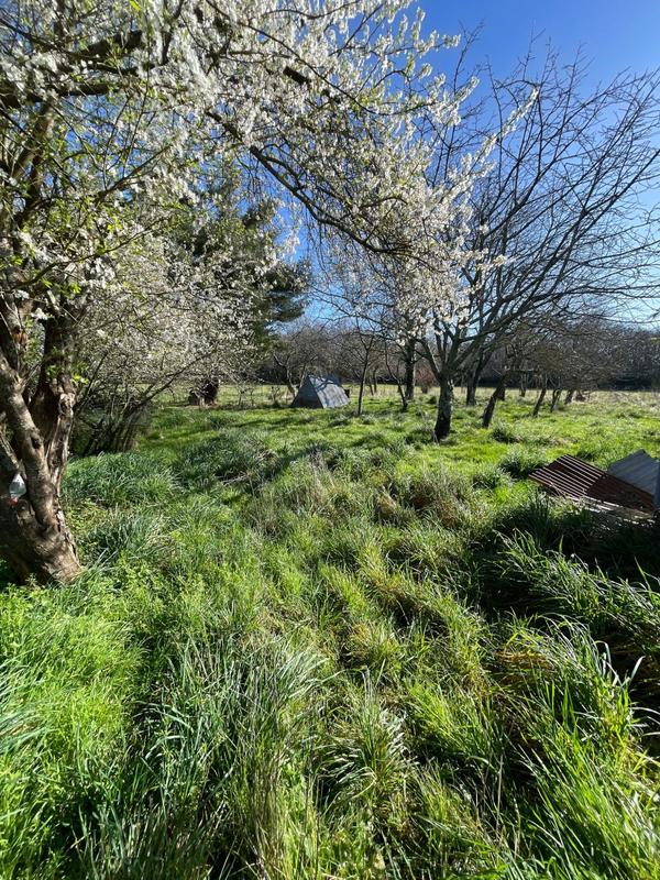 Maison - 150 m² - 1 pièce