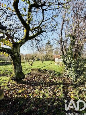 Appartement - 77 m² - 3 pièces