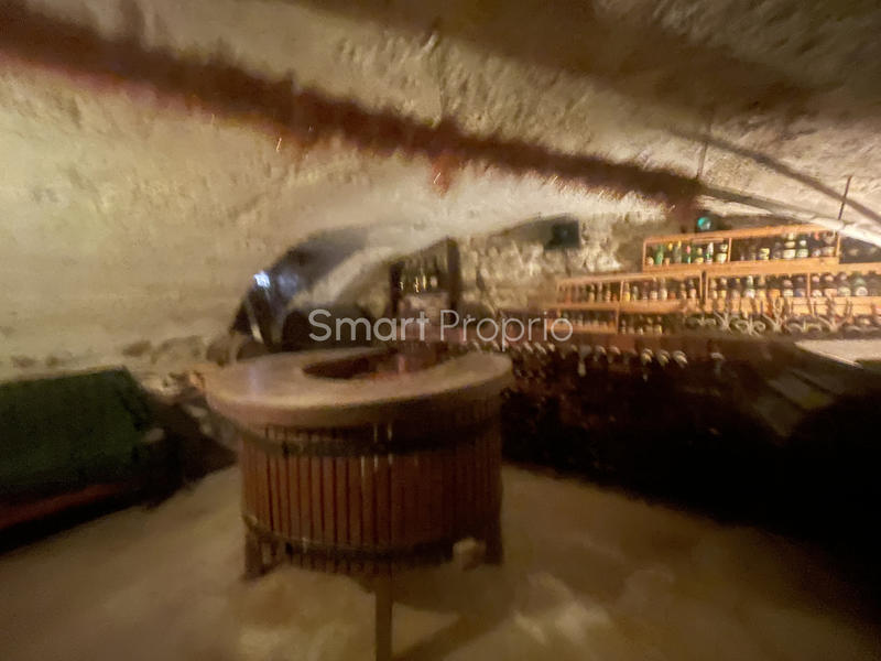 Propriété - 222 m² - 7 pièces