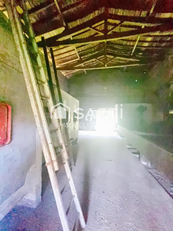 Maison - 237 m² - 8 pièces