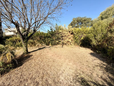 Terrain - 196 m²