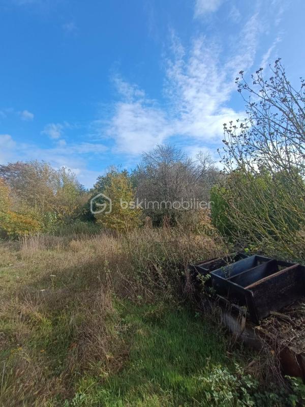 Maison traditionnelle - 88 m² - 5 pièces