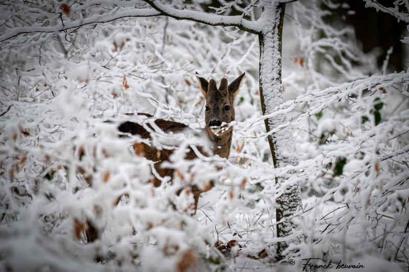 Votre semaine en 7 Vallées