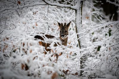 Votre semaine en 7 Vallées