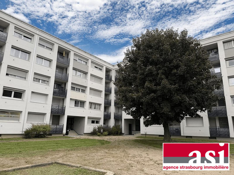 Appartement - 50 m² - 2 pièces