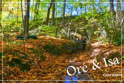 Terrain - 49 655 m²