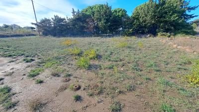 Terrain de loisirs - 591 m²