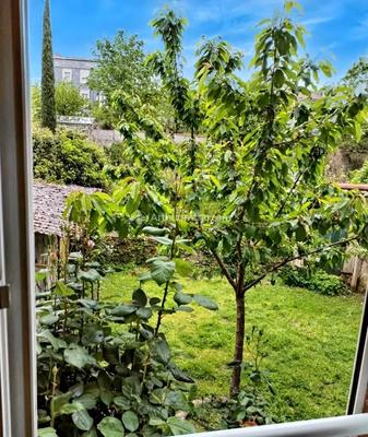 Immeuble - 300 m² - 9 pièces