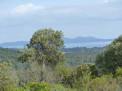 Terrain - 18 269 m²