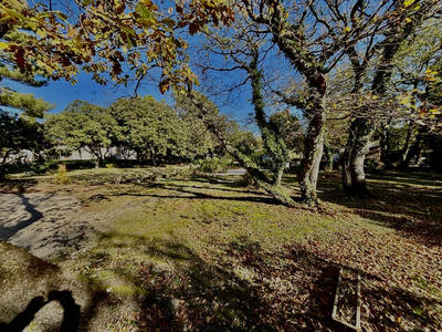 Villa - 150 m² - 5 pièces