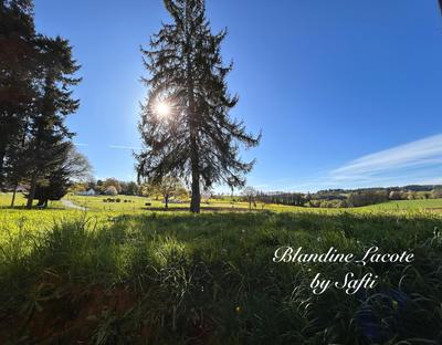 Maison - 69 m² - 3 pièces