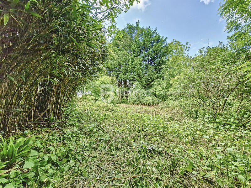 Maison - 55 m² - 3 pièces