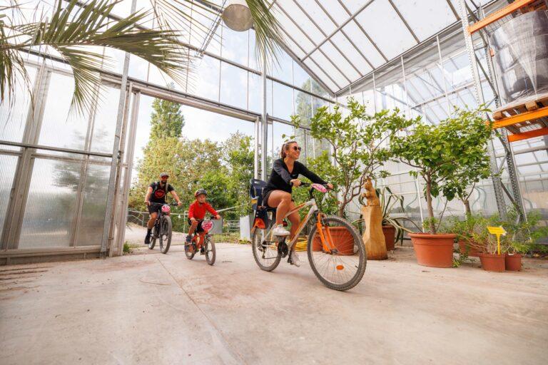 Vélo tour à Colmar