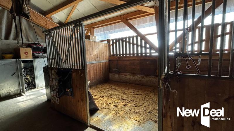 Maison de domaine équestre - 250 m² - 10 pièces