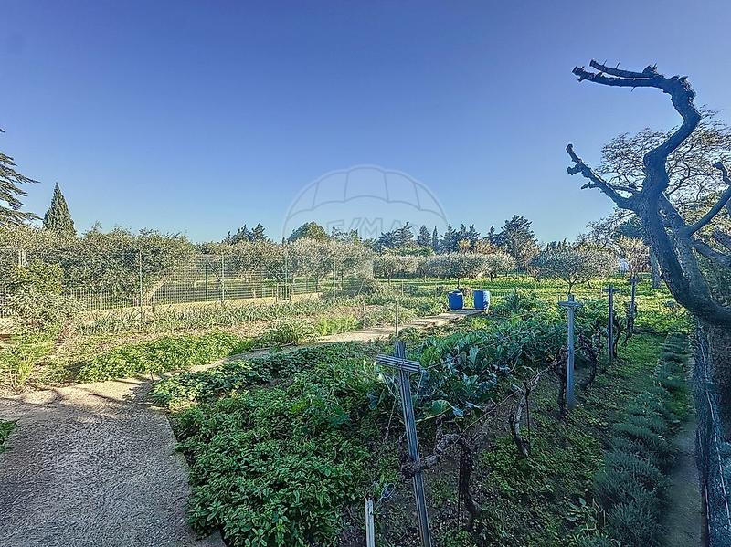 Mas - 300 m² - 12 pièces