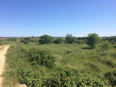 Terrain agricole - 5 070 m²