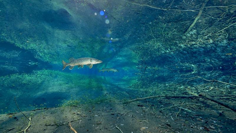 Documentaire : le fleuve invisible, sous la plaine du Rhin