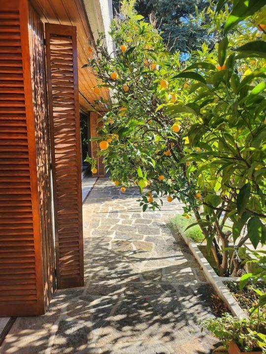 Villa - 264 m² - 6 pièces