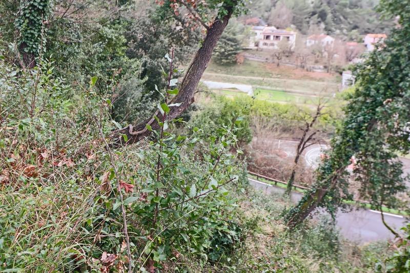 Terrain constructible - 1 003 m²