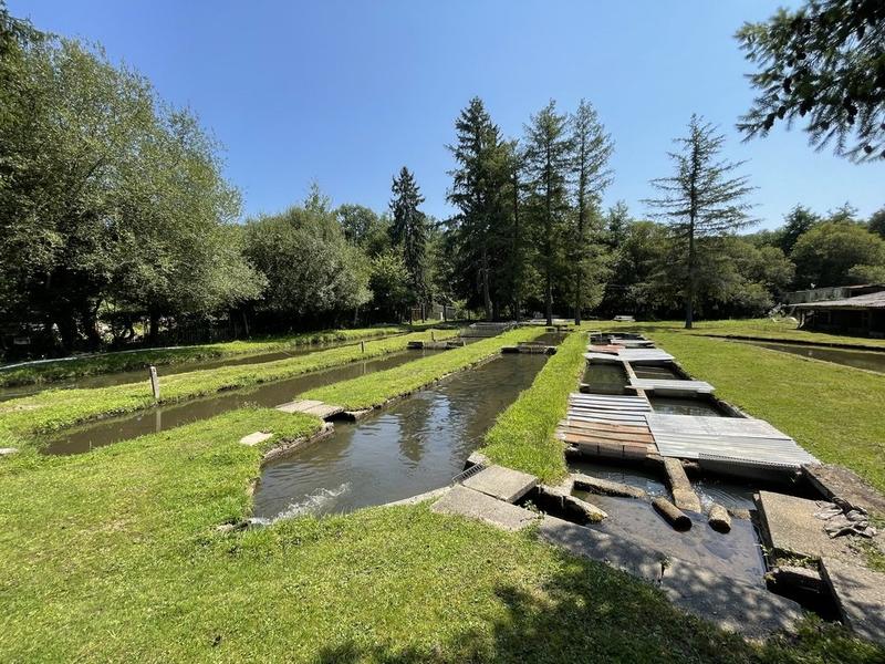 Maison ancienne - 50 m² - 3 pièces