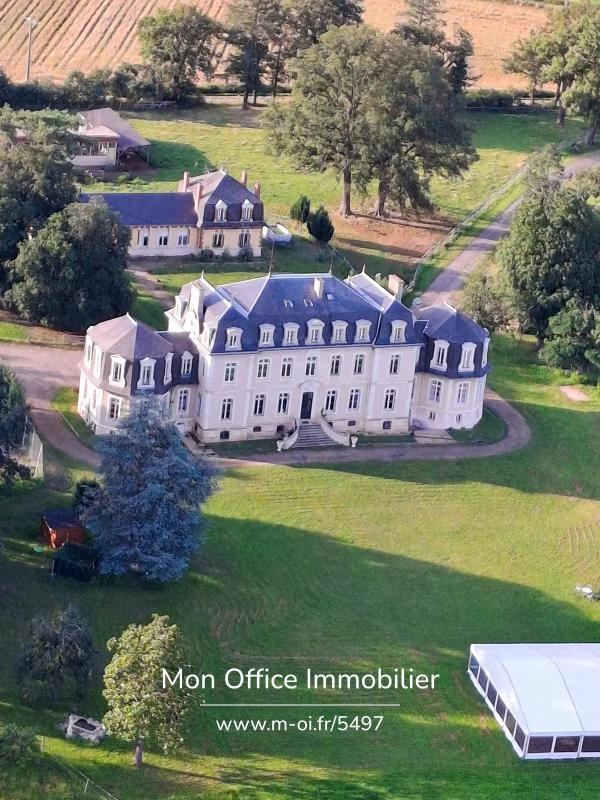 Château - 1 389 m² - 36 pièces