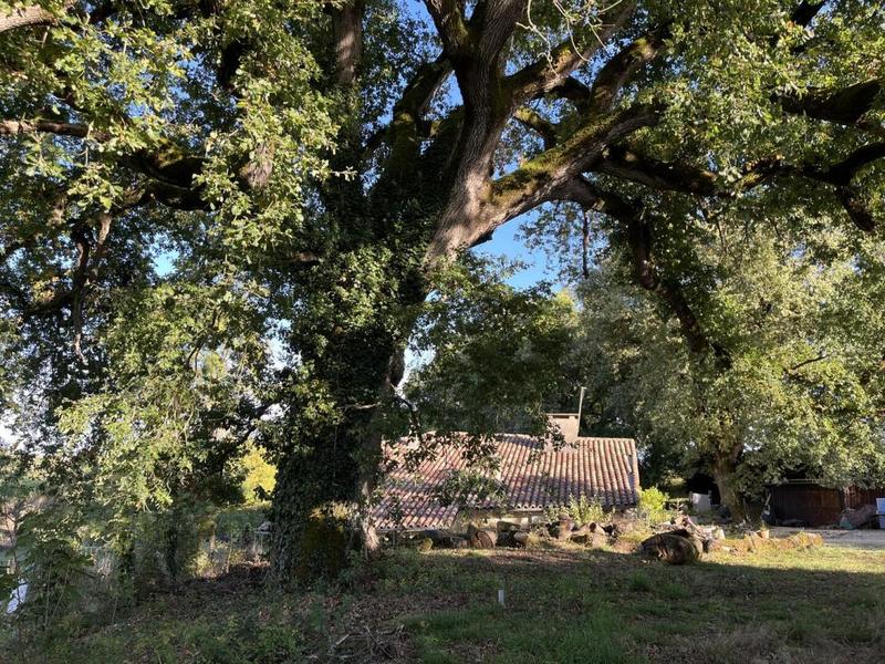 Maison en pierre - 355 m² - 11 pièces