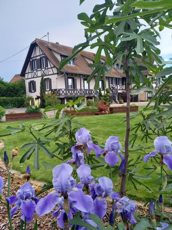 Corps de ferme - 320 m² - 14 pièces