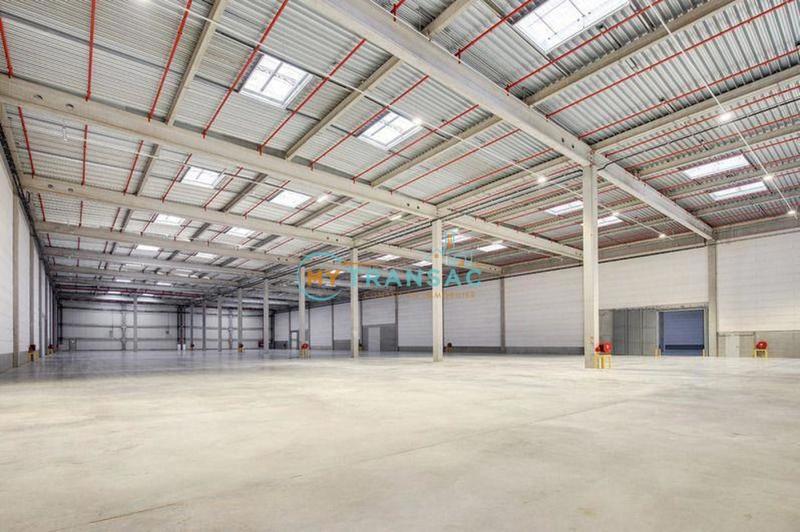 Local d'activité / Entrepôt - 6 280 m²