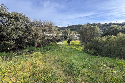 Terrain - 1 543 m²