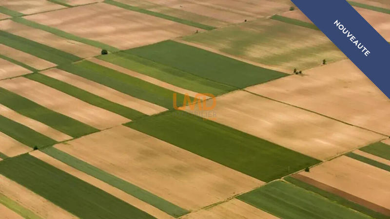 Terrain agricole - 69 510 m²