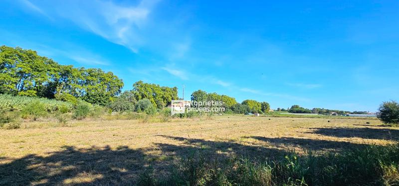 Terrain agricole - 19 599 m²
