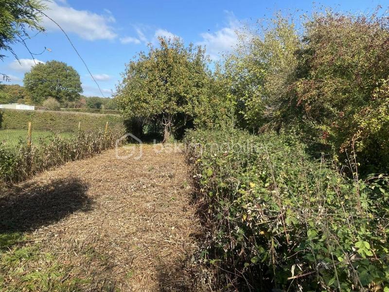 Maison ancienne - 56 m² - 3 pièces