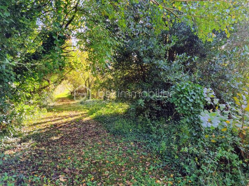 Maison en pierre - 171 m² - 6 pièces