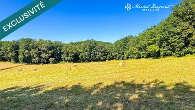 Terrain - 4 986 m²